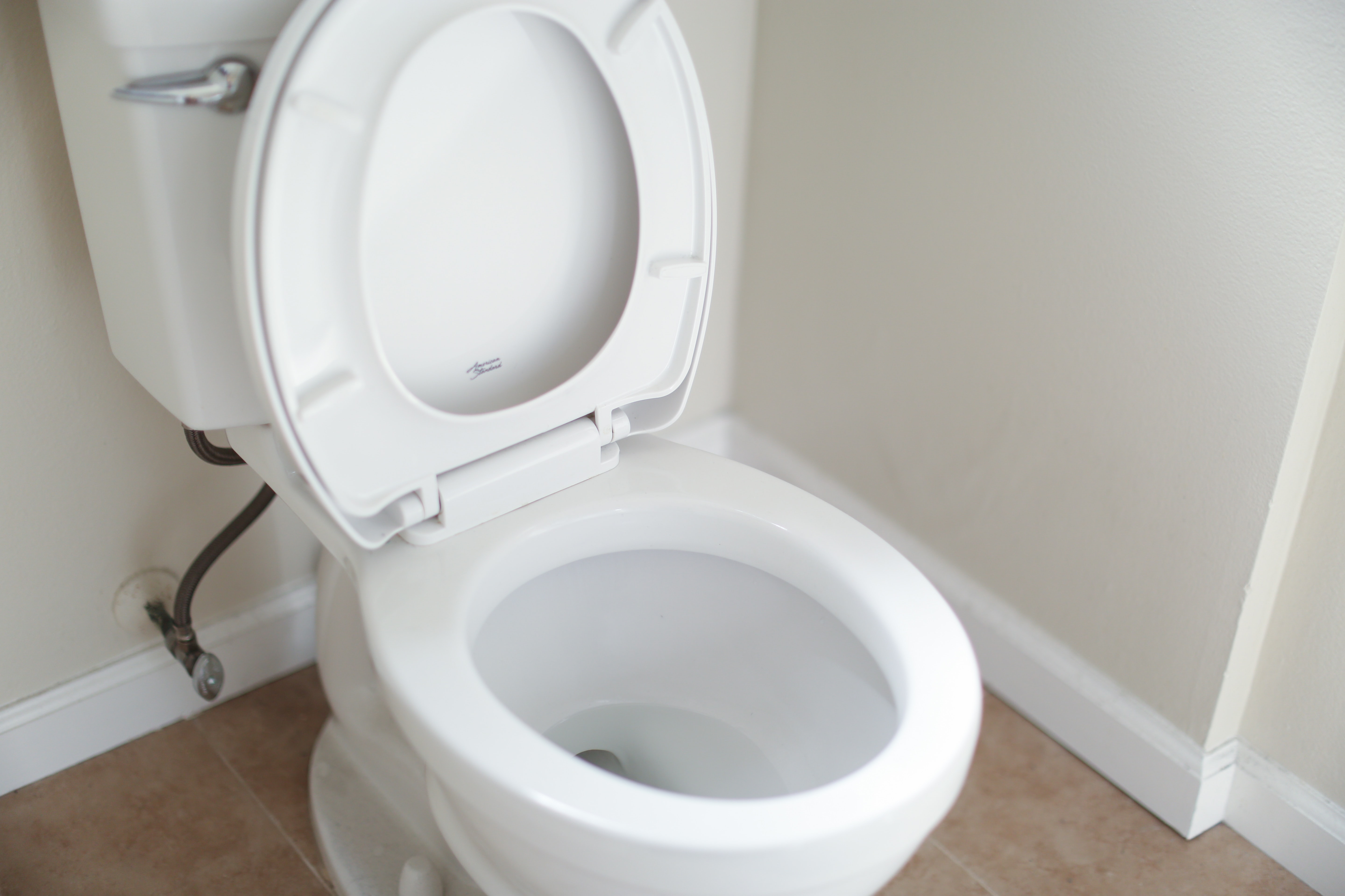 How To Replace Toilet Seat Kohler How To Replace Toilet Seat Kohler