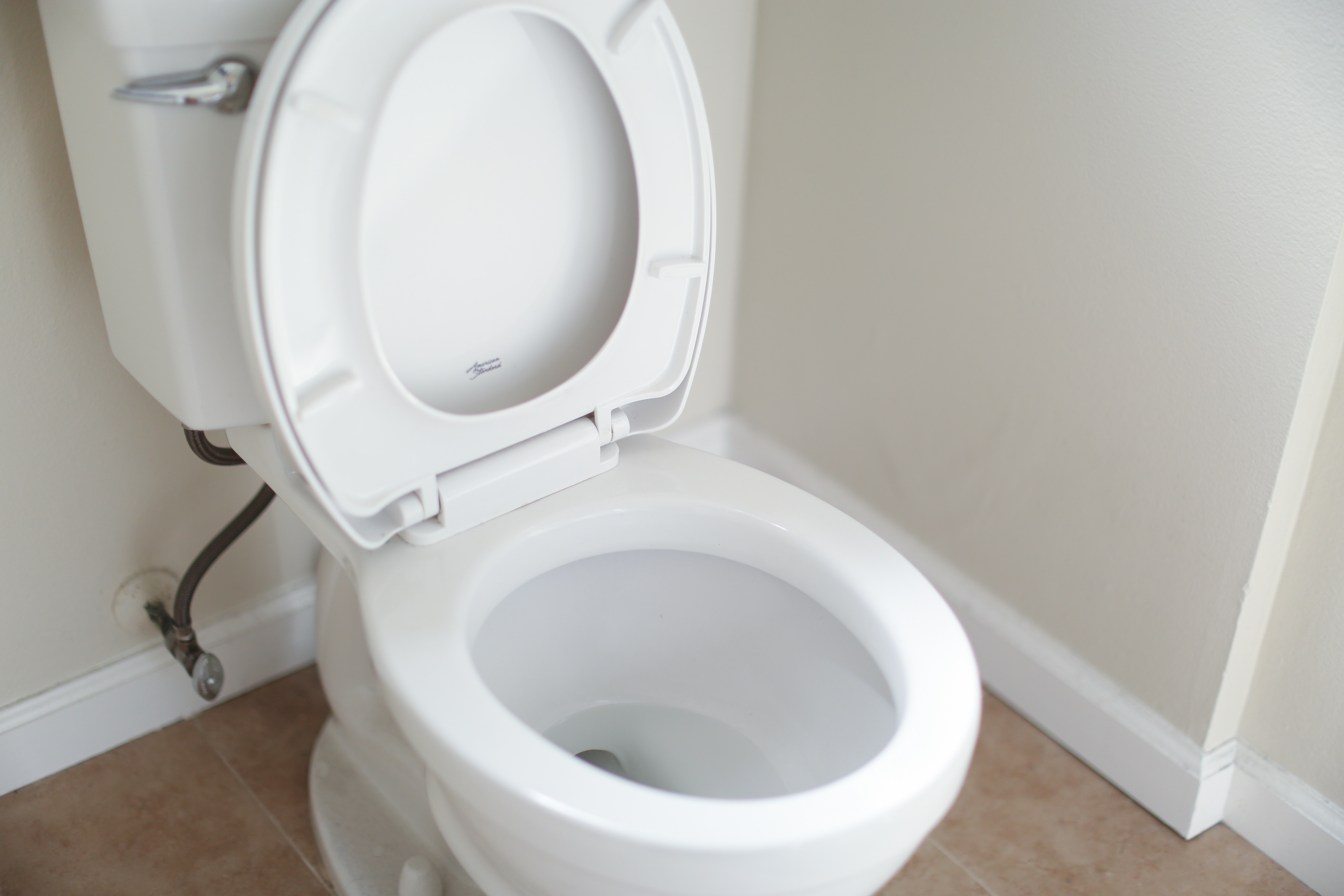 how to replace a toilet seat